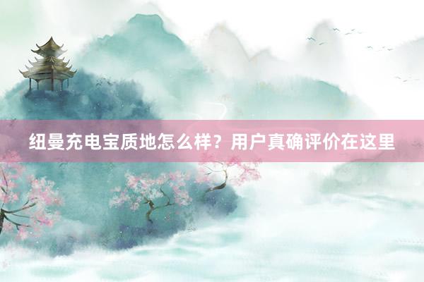 纽曼充电宝质地怎么样？用户真确评价在这里