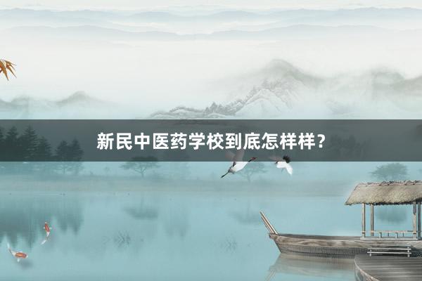 新民中医药学校到底怎样样？