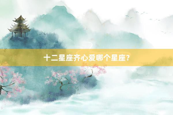 十二星座齐心爱哪个星座？