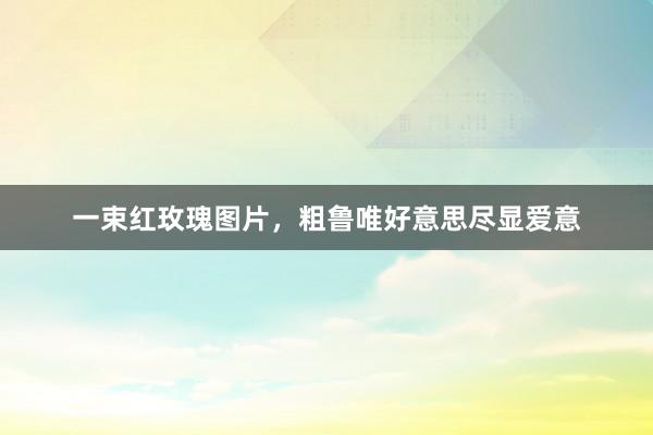 一束红玫瑰图片，粗鲁唯好意思尽显爱意